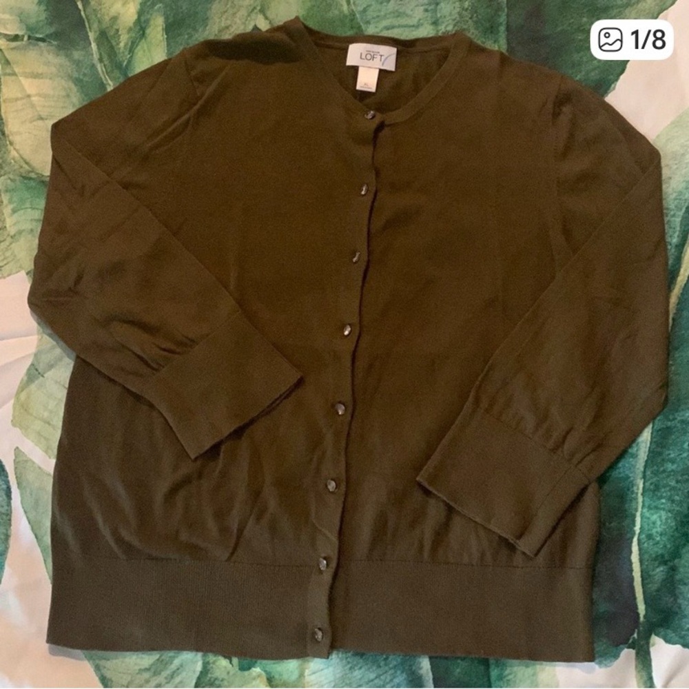 Ann Taylor Loft Thin Sweater